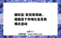 国际氢-氨贸易突破，德国首个市场化氢贸易模式启动