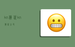 kn货代,kn货代公司