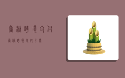 香港跨境支付,香港跨境支付平台