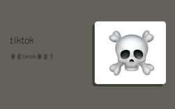 tiktok货代,tiktok货代平台