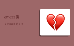 amass货代,amass货代公司