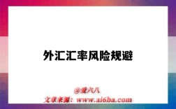 外汇汇率风险规避