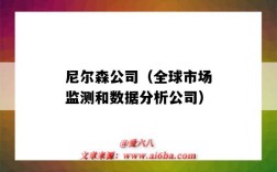 尼尔森公司（全球市场监测和数据分析公司）（尼尔森市场研究公司）