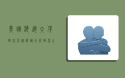 美国海运大件物流,美国海运大件物流公司排名