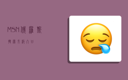 MSN俄罗斯搜索引擎入口