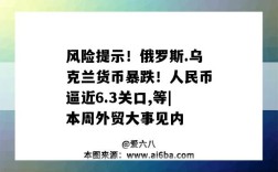 风险提示！俄罗斯.乌克兰货币暴跌！人民币逼近6.3关口,等|本周外贸大事见内
