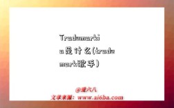 Trademarkia是什么(trademark歌手)