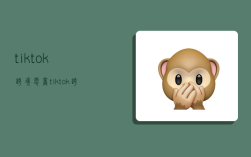 tik tok跨境电商,tik tok跨境电商能做吗