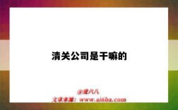清关公司是干嘛的（清关公司是干嘛的 深圳）