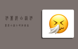 伊丽莎白港,伊丽莎白港在哪个国家