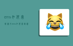 ems如何寄到国外,ems如何寄到国外快递