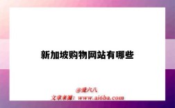 新加坡购物网站有哪些（新加坡有什么购物网站）