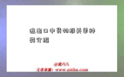 进出口中货物报关单种类介绍