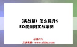 （实战篇）怎么提升SEO流量附实战案例（seo排名优化提高流量）