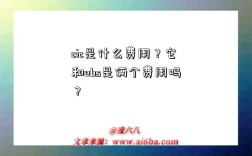 cic是什么费用？它和ebs是俩个费用吗？