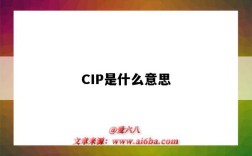 CIP是什么意思（cip是什么意思啊）
