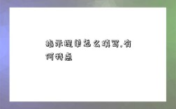 指示提单怎么填写,有何特点