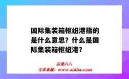 国际集装箱枢纽港指的是什么意思？什么是国际集装箱枢纽港？