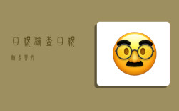 目视检查,目视检查英文