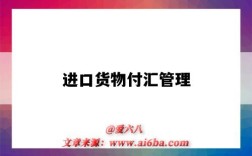 进口货物付汇管理