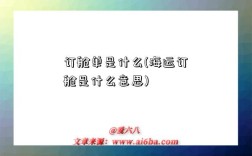 订舱单是什么(海运订舱是什么意思)