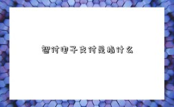 智付电子支付是指什么