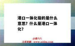 港口一体化指的是什么意思？什么是港口一体化？