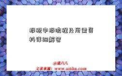 报税申报流程及所需资料详细解答