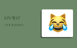 b2b和b2c的区别,b2b和b2c的区别是什么
