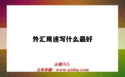 外汇用途写什么最好（收外汇用途写什么最好）