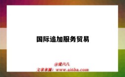 国际追加服务贸易