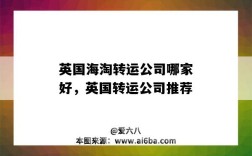 英国海淘转运公司哪家好，英国转运公司推荐（英国海淘转运公司哪个好）