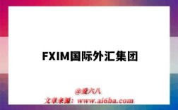 FXIM国际外汇集团