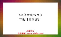 C79文件是什么(c79是什么日期)