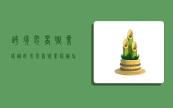 跨境电商职业认识,跨境电商职业认识怎么写