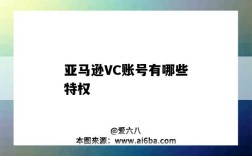 亚马逊VC账号有哪些特权（亚马逊什么是vc账号）