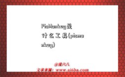PicMonkey是什么工具(picmonkey)