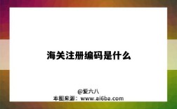 海关注册编码是什么（海关注册编码是什么意思）