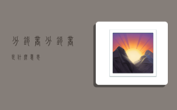 分销商,分销商是什么意思