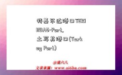 特基尔达港口TEKIRDAG-Port,土耳其港口(Turkey Port)