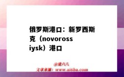 俄罗斯港口：新罗西斯克（novorossiysk）港口（俄罗斯最大的港口新罗西斯克）