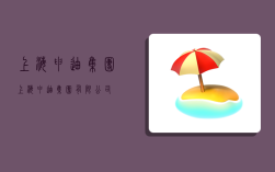 上海申迪集团,上海申迪集团有限公司