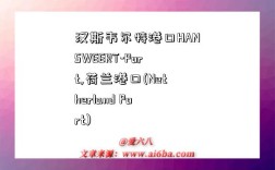 汉斯韦尔特港口HANSWEERT-Port,荷兰港口(Netherland Port)