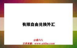 有限自由兑换外汇