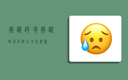 微诚跨境,微诚跨境有限公司怎么样