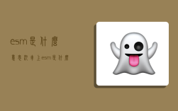 esm是什么意思,汽车上esm是什么意思