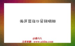 扬声器出口费用明细