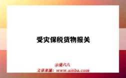 受灾保税货物报关