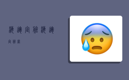 海运定舱,海运定舱网