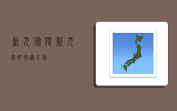 新元国际(新元国际快递查询)